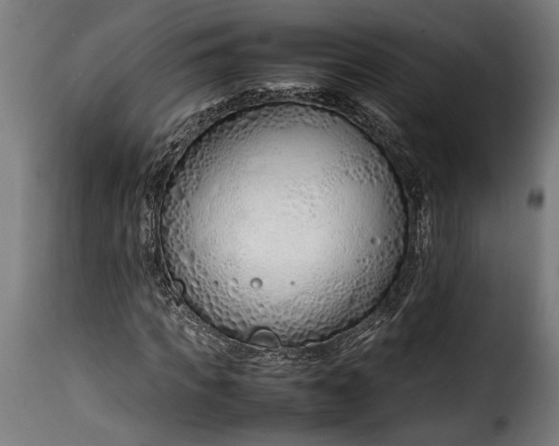 X0000115620917200911241620