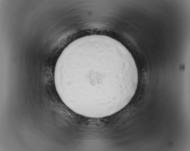 X0000115620918200911241620