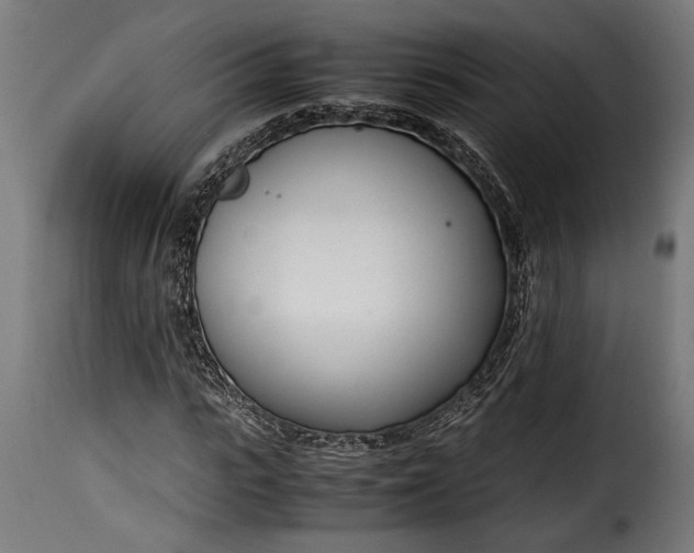 X0000115620919200911241620