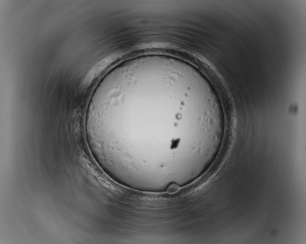 X0000115620921200911241620