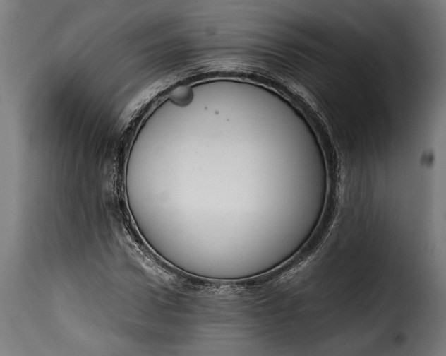 X0000115620922200911241620