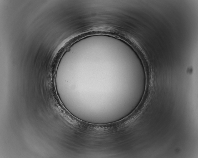 X0000115620923200911241620