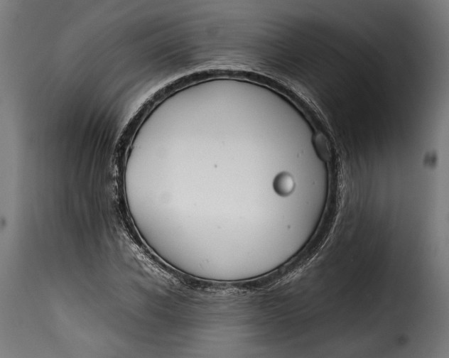 X0000115620926200911241620