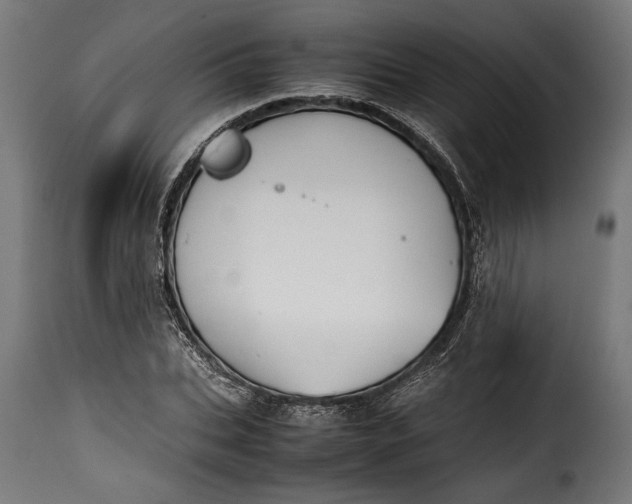 X0000115620927200911241620