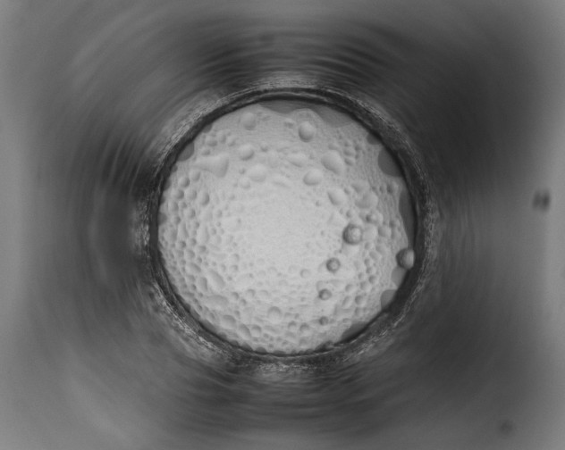 X0000115620929200911241620