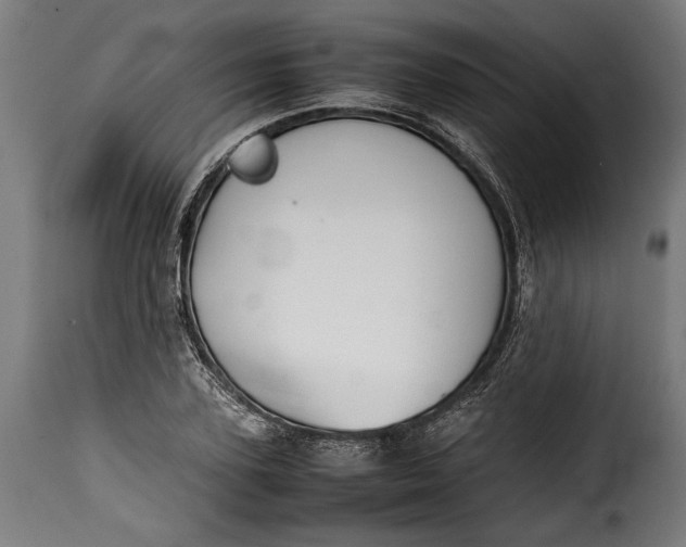 X0000115620931200911241620