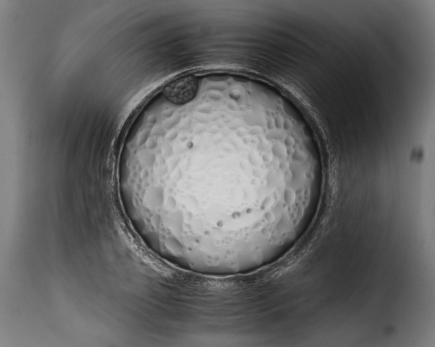 X0000115620933200911241620