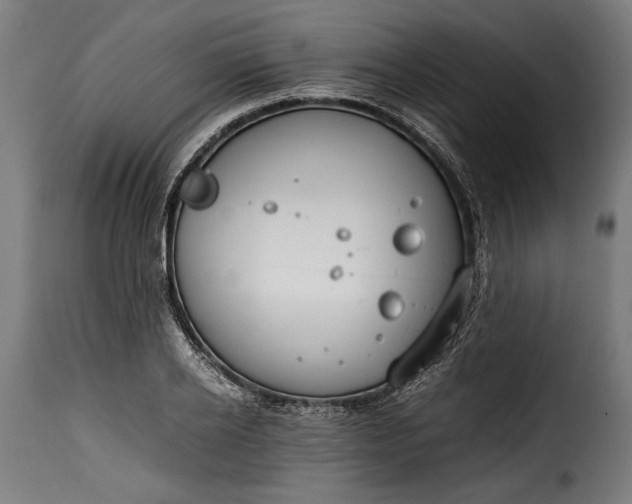 X0000115620934200911241620