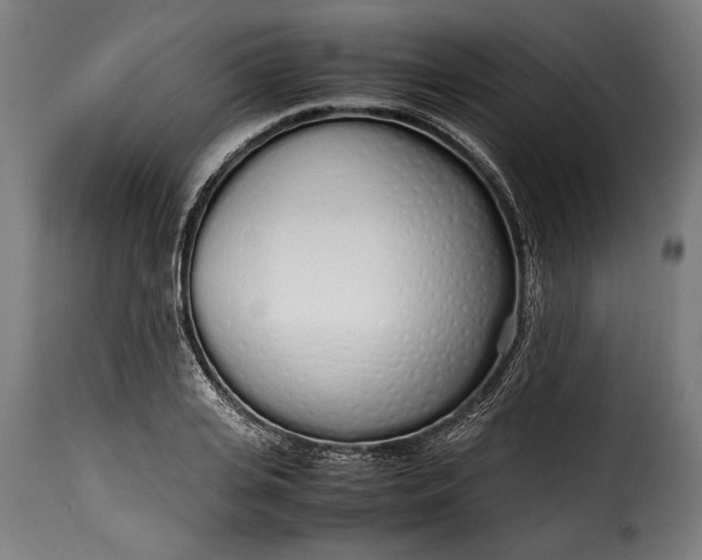 X0000115620935200911241620