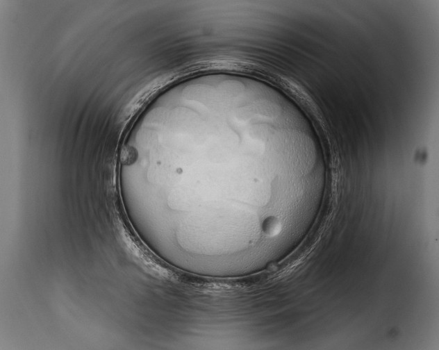 X0000115620938200911241621