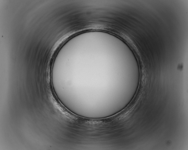 X0000115620939200911241621