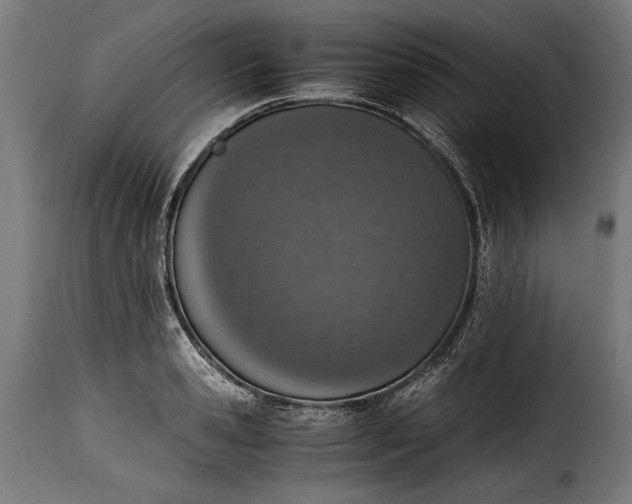 X0000115620941200911241621