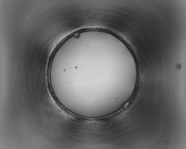 X0000115620943200911241621