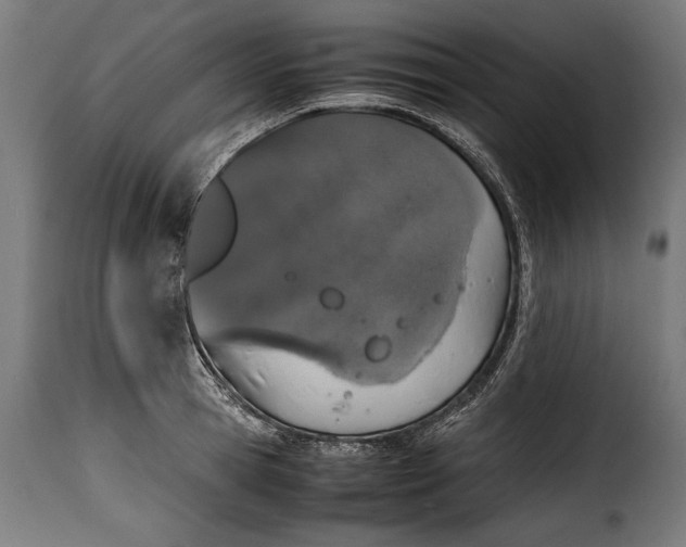 X0000115620945200911241621