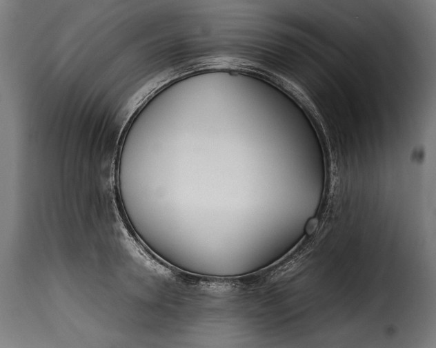 X0000115620946200911241621