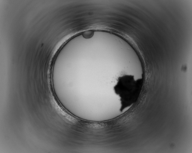 X0000115620947200911241621