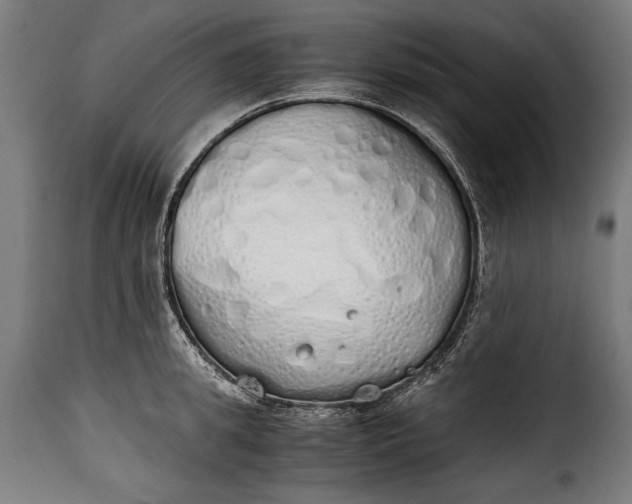 X0000115620949200911241621