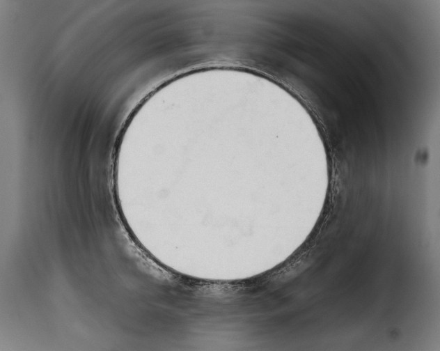 X0000115620950200911241621