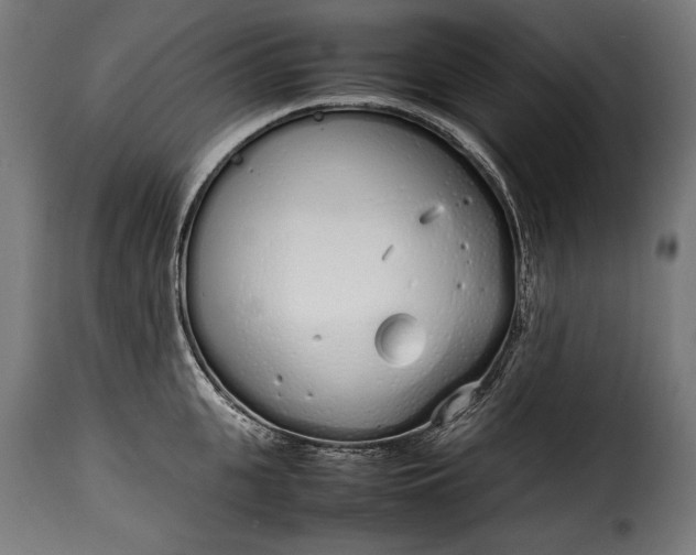 X0000115620951200911241621