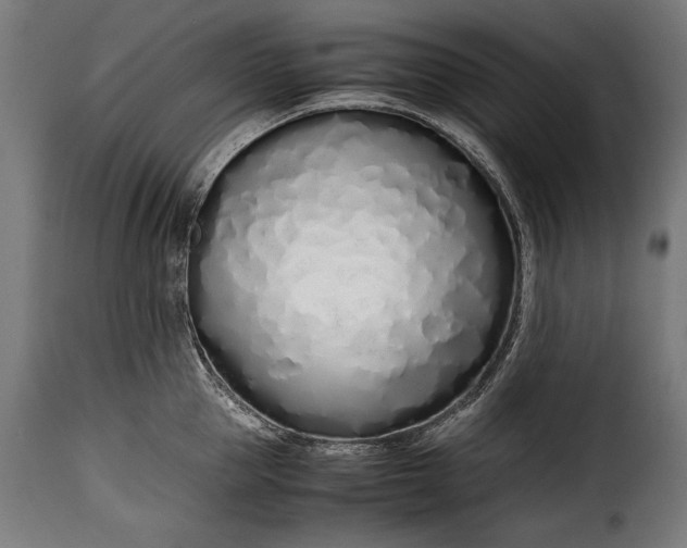 X0000115620953200911241621