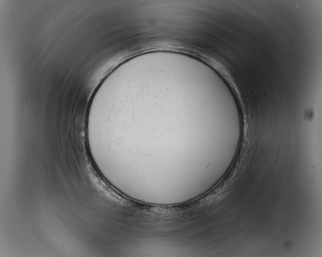 X0000115620954200911241621