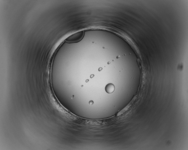 X0000115620955200911241621