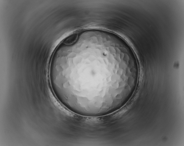 X0000115620957200911241621