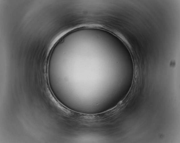 X0000115620959200911241621