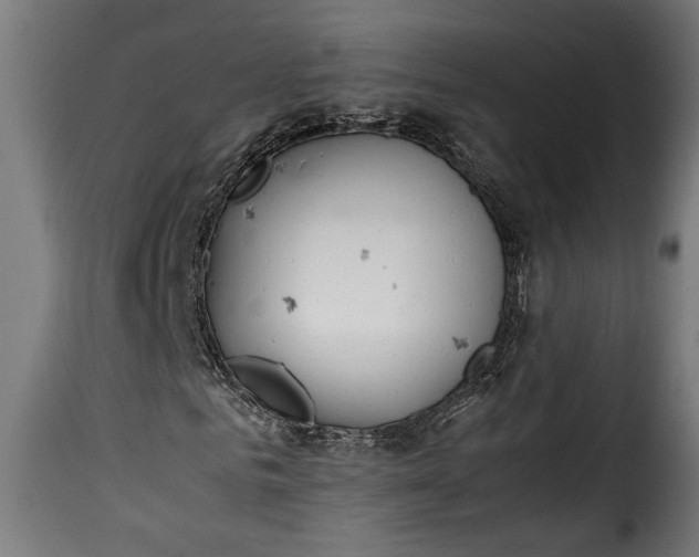 X0000115620961200911241620