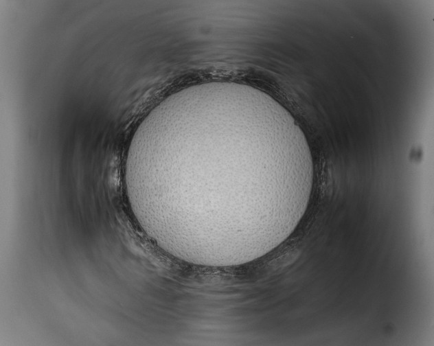 X0000115620962200911241620