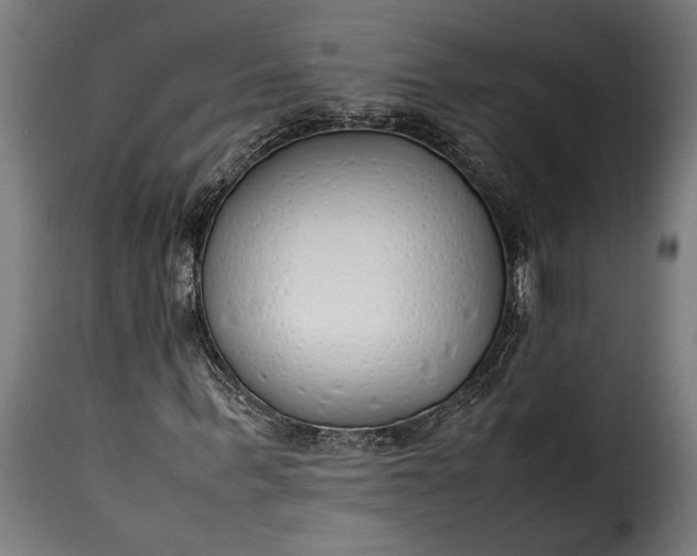 X0000115620963200911241620