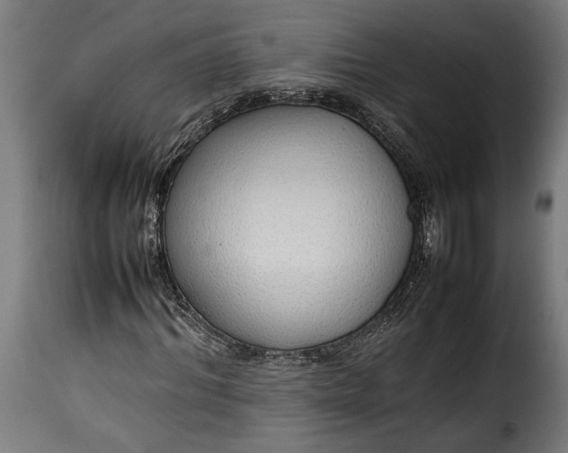 X0000115620964200911241620