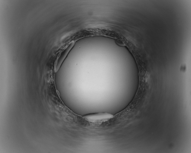 X0000115620965200911241620