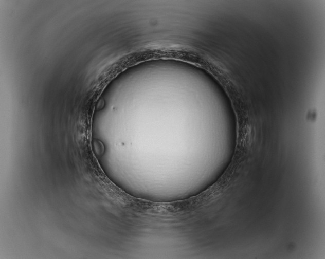 X0000115620966200911241620