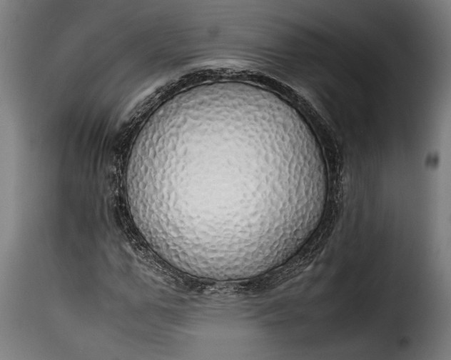 X0000115620967200911241620