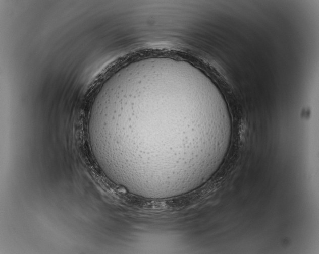 X0000115620968200911241620