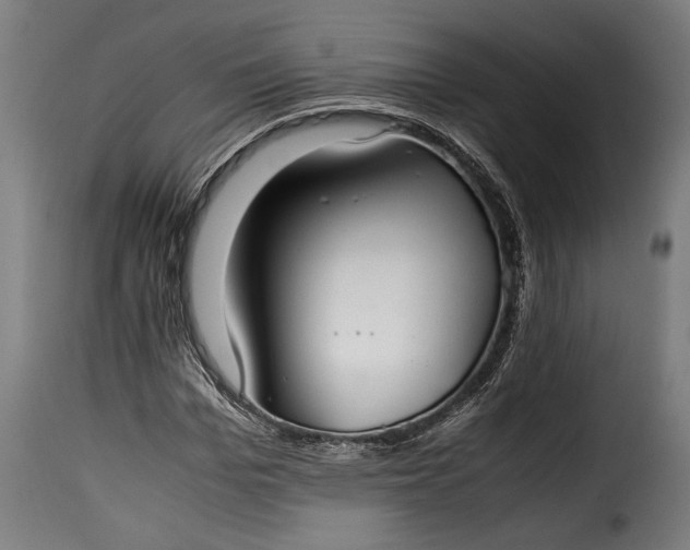 X0000115620969200911241620