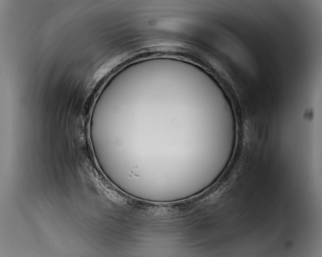 X0000115620970200911241620