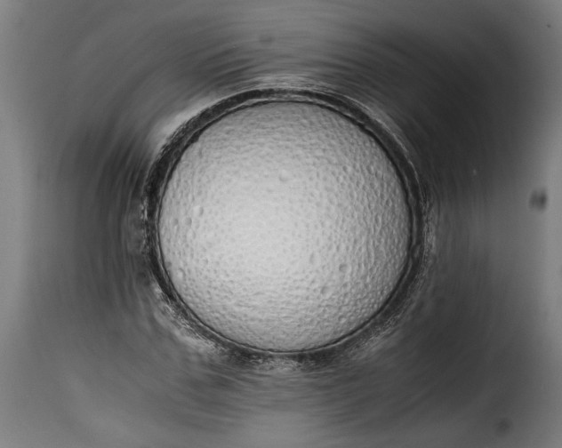 X0000115620971200911241620