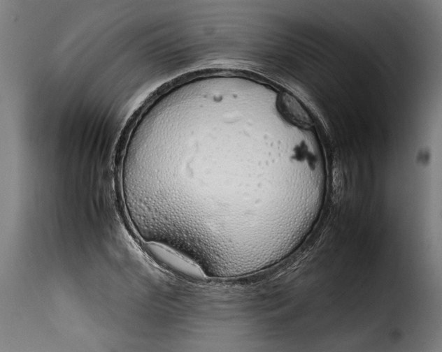 X0000115620972200911241620