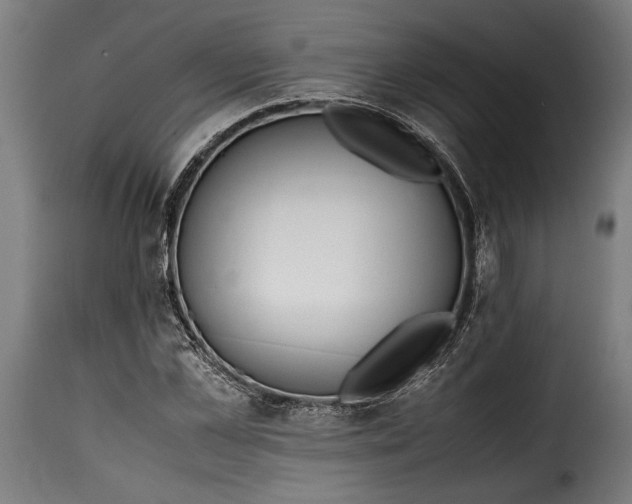 X0000115620973200911241620