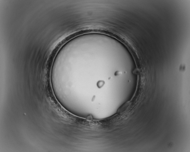 X0000115620975200911241620