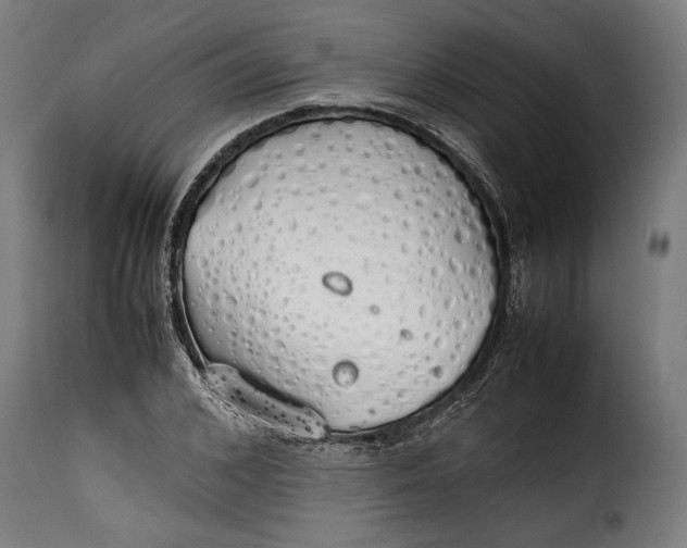 X0000115620976200911241620