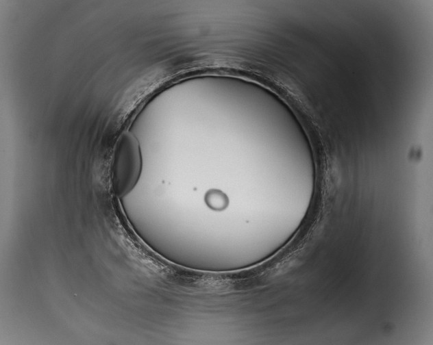 X0000115620977200911241620