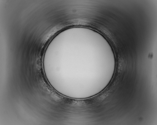 X0000115620978200911241620