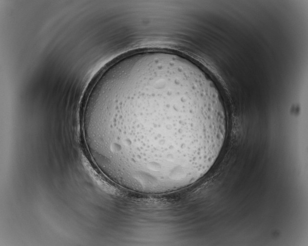 X0000115620980200911241620