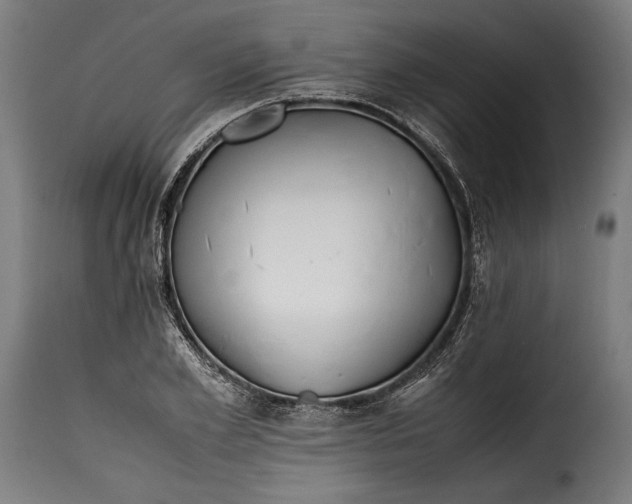 X0000115620981200911241620