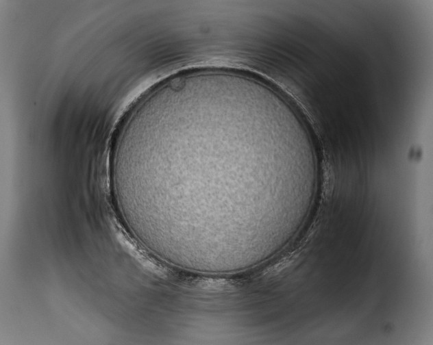 X0000115620982200911241620