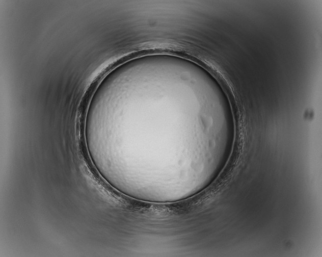 X0000115620983200911241620