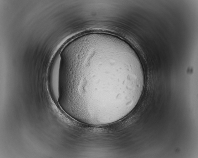 X0000115620984200911241620